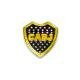 PINS